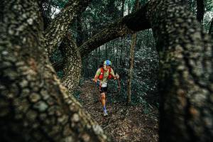 BIB: 
                            <button type="button" onclick="openModal(25392449)" class="btn btn-primary btn-sm float-right btn-popup" data-toggle="modal" data-target=".modal-high-quality">
                        <i class="fas fa-shopping-cart"></i> Add to Cart
                    </button>
                                            <button type="button" onclick="isThisMe(25392449, true)" class="btn btn-success btn-sm float-right btn-popup btn-isme hidden" data-toggle="tooltip" data-placement="bottom" title="นี่คือรูปของคุณใช่ไหม คลิกที่นี่เพื่อเอาเข้าอัลบั้ม">
                        <i class="fas fa-plus"></i> Add to album
                    </button>
                    <button type="button" onclick="isThisMe(25392449, false)" class="btn btn-warning btn-sm float-right btn-popup btn-isnotme hidden">
                        <i class="fas fa-ban"></i> Remove from album
                    </button>